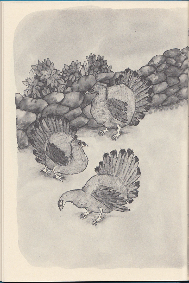 Florence Parry Heide and Sylvia Worth Van Clief, Fables You Shouldn't Pay Any Attention To (1978, illus. by Victoria Chess): "Chester," p. 36