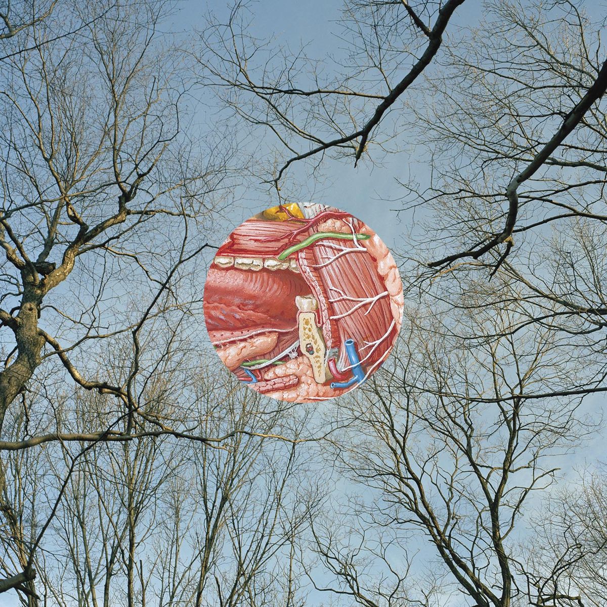 They Might Be Giants' Glean